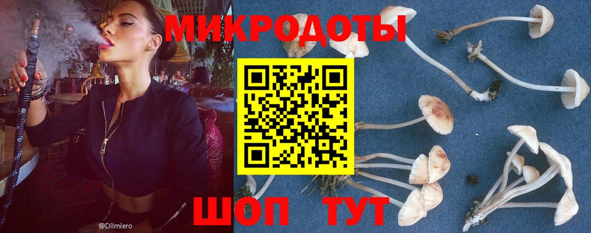 Ноябрьск  Галлюциногенные грибы MAGIC MUSHROOMS  Вход с VPN  Псилоцибиновые грибы мухоморы 