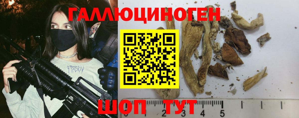 Псилоцибиновые грибы GOLDEN TEACHER Ноябрьск